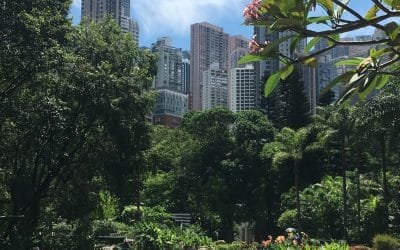 Hong Kong