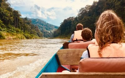 Trekking in Taman Negara, Malaysia