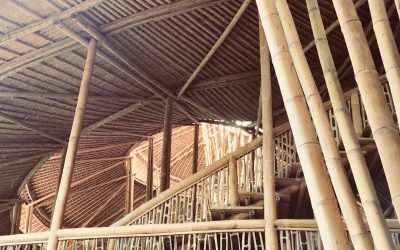 Inspired by The Green School