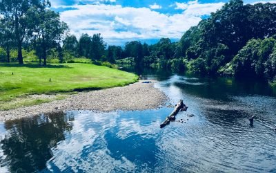 Bellingen with our beautiful buddies