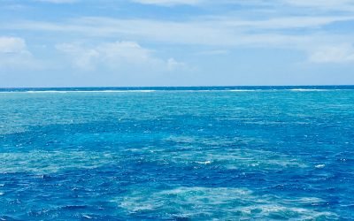 Aussie road trip 4: final leg to the Tropical North