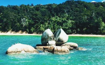 Motueka: our gateway to Abel Tasman National Park