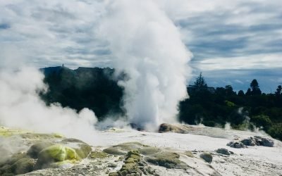 Going geothermal around Rotorua!