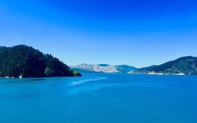 Over the Cook Strait to North Island