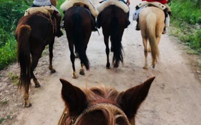 Educational and exciting estancia experience
