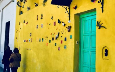 From Chile to Salta, Argentina